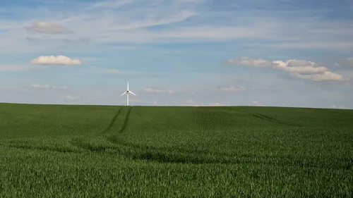 This landscape photograph captures the rural beauty of a wheat field during a bright summer afternoon. The tramlines carve gentle paths through the crops, leading the eye directly to a wind turbine positioned prominently on the horizon. The fields are lush and green, reflecting the vitality of agriculture at this time of year. The clear blue sky with scattered clouds suggests warm weather, enhancing the sense of openness and tranquility. With the presence of both flourishing wheat and a modern wind turbine, the image highlights the integration of renewable energy into agricultural landscapes, alluding to the ongoing connection between rural practices and sustainability.